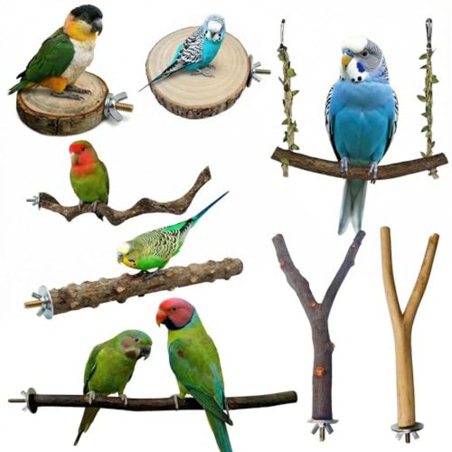 Health & Wellness Animal Hospital - 8 Stück Vogelsitzstangen aus Naturholz für