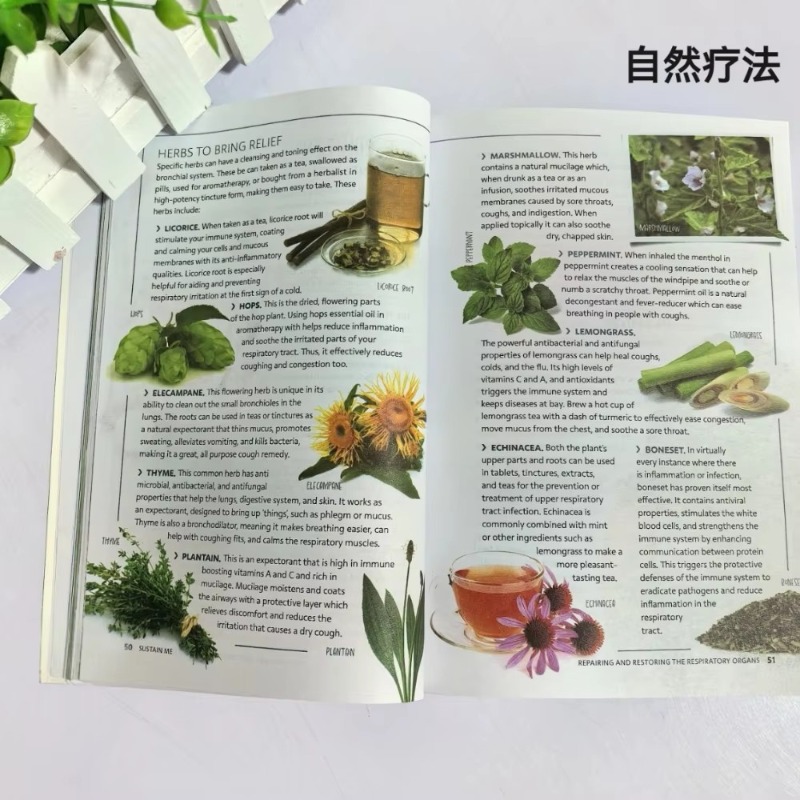 Sustain Me English Paperback v – Health Wellness Foundation Bewertung und Preis