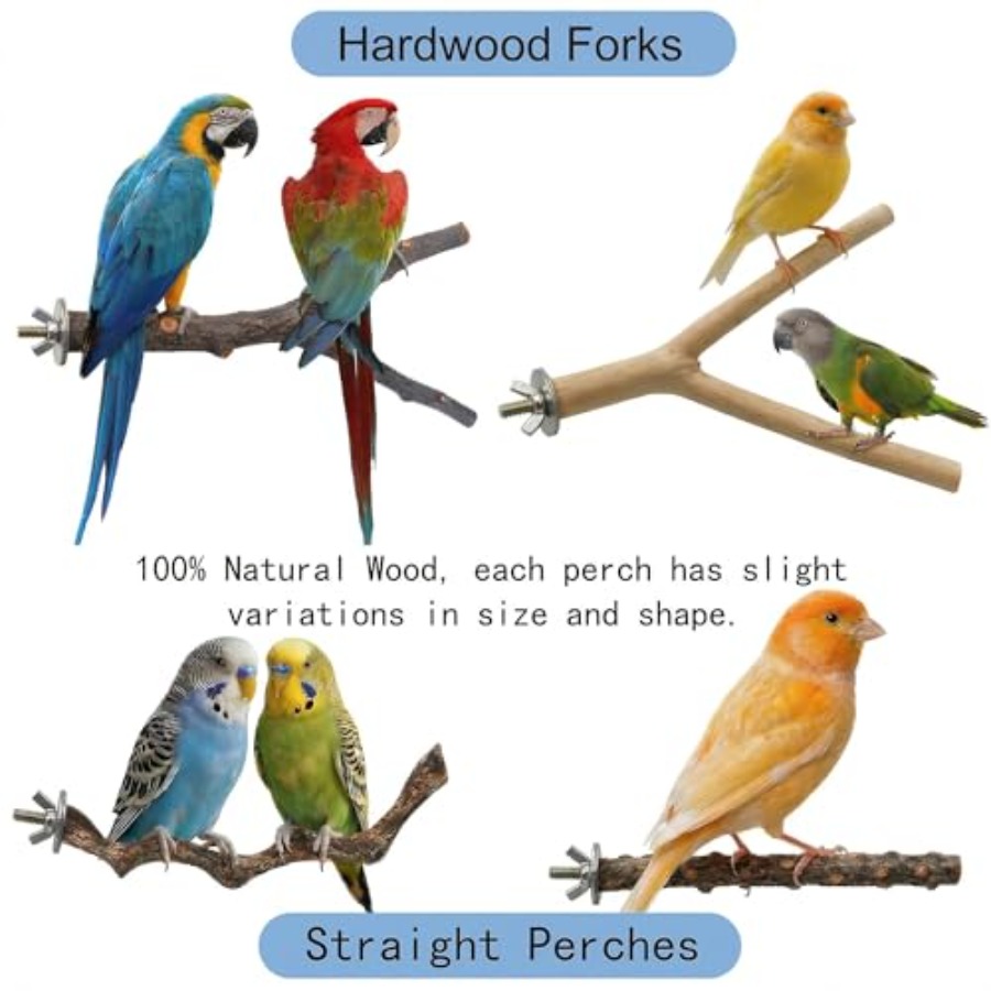 8 Stück Vogelsitzstangen aus N – Health & Wellness Animal Hospital Bewertung und Preis