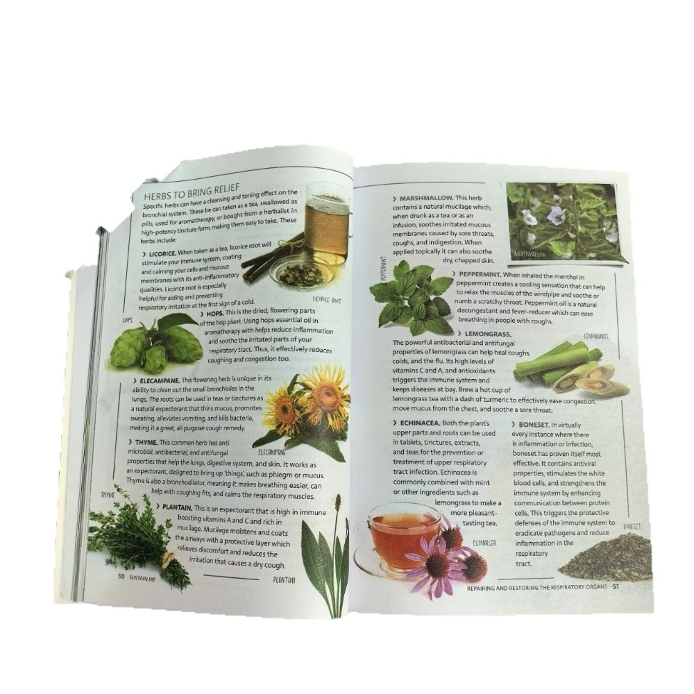 Sustain Me English Paperback v – Health Wellness Foundation Bewertung und Preis